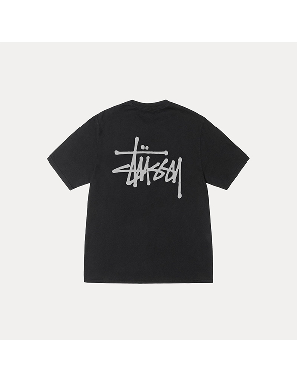 STUSSY BASIC TEE PIGMENT DYED 5COLOR